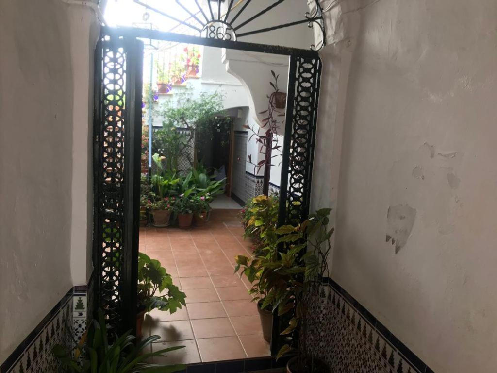 Antonio Ureba 9 Lägenhet Conil De La Frontera Exteriör bild